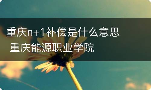 重庆n+1补偿是什么意思 重庆能源职业学院