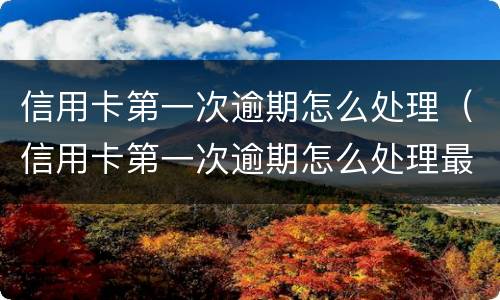 信用卡第一次逾期怎么处理（信用卡第一次逾期怎么处理最合适）