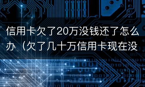 信用卡欠了20万没钱还了怎么办（欠了几十万信用卡现在没有钱还怎么办）