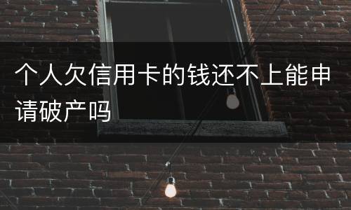 个人欠信用卡的钱还不上能申请破产吗