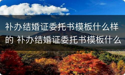 补办结婚证委托书模板什么样的 补办结婚证委托书模板什么样的可以用