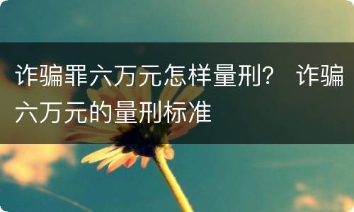 诈骗罪六万元怎样量刑？ 诈骗六万元的量刑标准