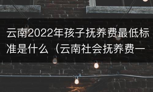 云南2022年孩子抚养费最低标准是什么（云南社会抚养费一般多少钱）