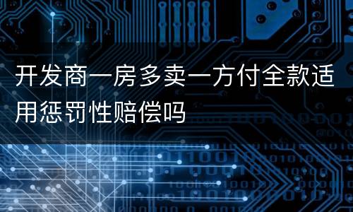 开发商一房多卖一方付全款适用惩罚性赔偿吗