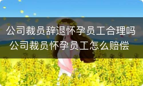 公司裁员辞退怀孕员工合理吗 公司裁员怀孕员工怎么赔偿