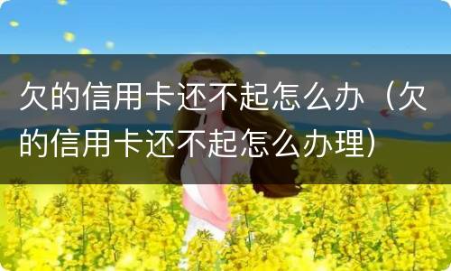 欠的信用卡还不起怎么办（欠的信用卡还不起怎么办理）
