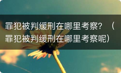 罪犯被判缓刑在哪里考察？（罪犯被判缓刑在哪里考察呢）