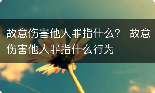故意伤害他人罪指什么？ 故意伤害他人罪指什么行为