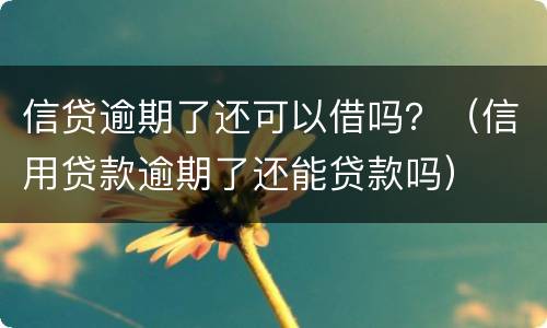 信贷逾期了还可以借吗？（信用贷款逾期了还能贷款吗）