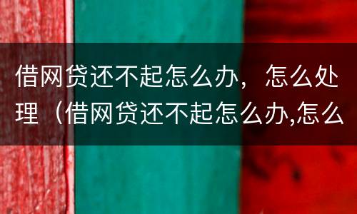 借网贷还不起怎么办，怎么处理（借网贷还不起怎么办,怎么处理好）