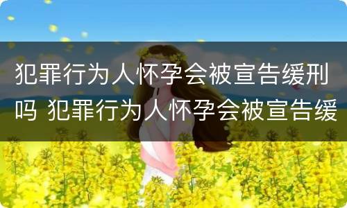 犯罪行为人怀孕会被宣告缓刑吗 犯罪行为人怀孕会被宣告缓刑吗知乎