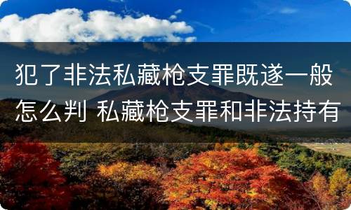 犯了非法私藏枪支罪既遂一般怎么判 私藏枪支罪和非法持有枪支罪
