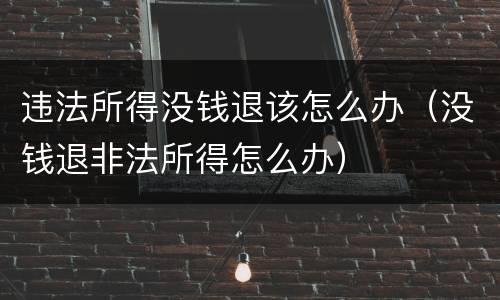 违法所得没钱退该怎么办（没钱退非法所得怎么办）