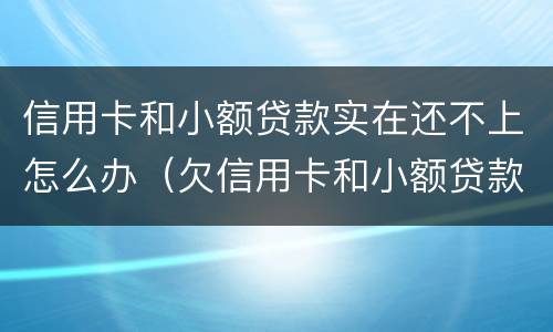 信用卡和小额贷款实在还不上怎么办（欠信用卡和小额贷款数目巨大还不了怎么办）