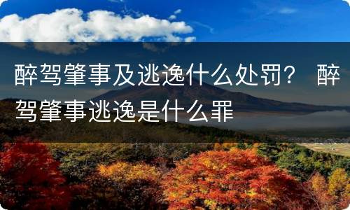 醉驾肇事及逃逸什么处罚？ 醉驾肇事逃逸是什么罪