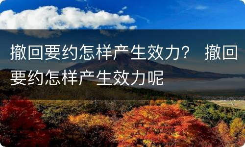 撤回要约怎样产生效力？ 撤回要约怎样产生效力呢