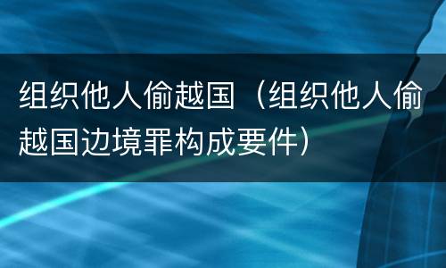 组织他人偷越国（组织他人偷越国边境罪构成要件）