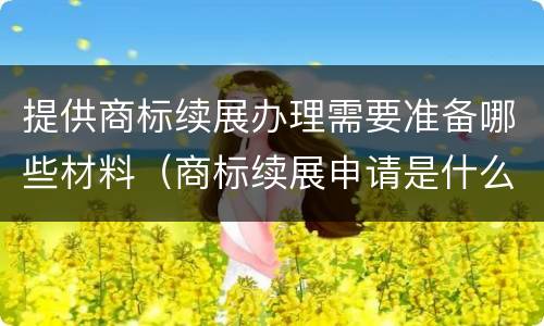 提供商标续展办理需要准备哪些材料（商标续展申请是什么意思）