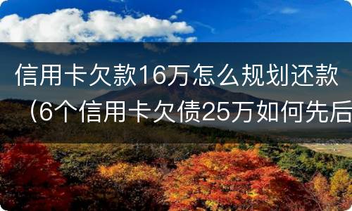 信用卡欠款16万怎么规划还款（6个信用卡欠债25万如何先后还）