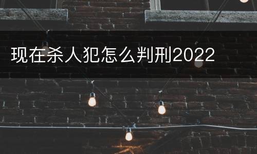 现在杀人犯怎么判刑2022