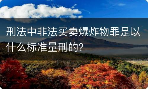 刑法中非法买卖爆炸物罪是以什么标准量刑的？