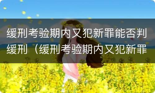 缓刑考验期内又犯新罪能否判缓刑（缓刑考验期内又犯新罪能否判缓刑 检察日报哪一期）