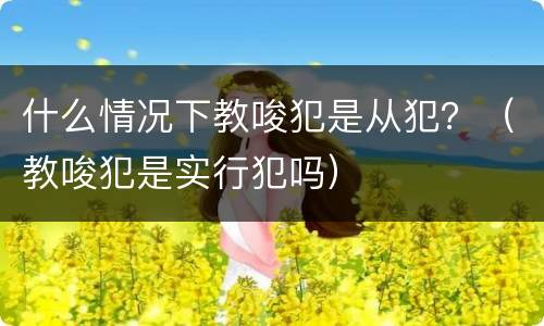 什么情况下教唆犯是从犯？（教唆犯是实行犯吗）