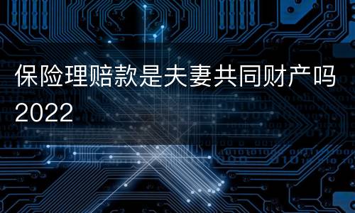 保险理赔款是夫妻共同财产吗2022