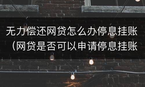 无力偿还网贷怎么办停息挂账（网贷是否可以申请停息挂账）