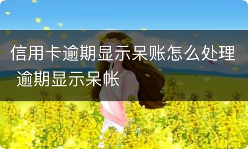 信用卡逾期显示呆账怎么处理 逾期显示呆帐