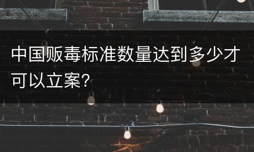 中国贩毒标准数量达到多少才可以立案？