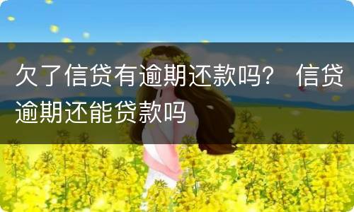 欠了信贷有逾期还款吗？ 信贷逾期还能贷款吗