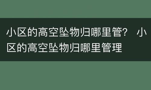 小区的高空坠物归哪里管? 小区的高空坠物归哪里管理