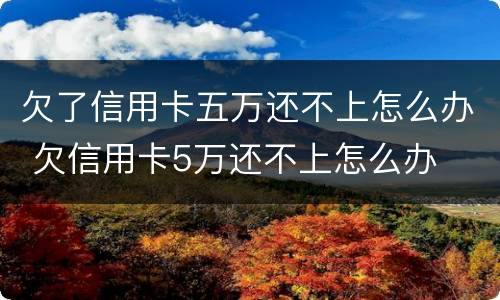 欠了信用卡五万还不上怎么办 欠信用卡5万还不上怎么办