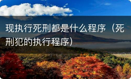 现执行死刑都是什么程序（死刑犯的执行程序）