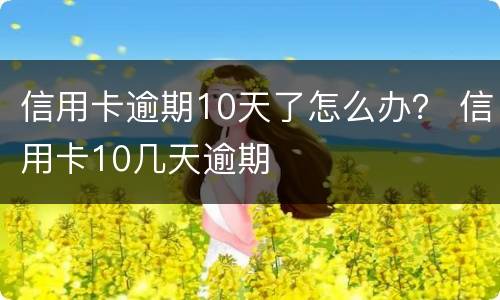 信用卡逾期10天了怎么办？ 信用卡10几天逾期