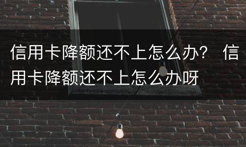 信用卡降额还不上怎么办？ 信用卡降额还不上怎么办呀