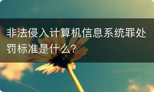 非法侵入计算机信息系统罪处罚标准是什么？