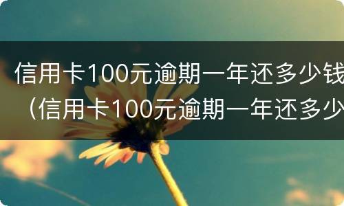 信用卡100元逾期一年还多少钱（信用卡100元逾期一年还多少钱呢）