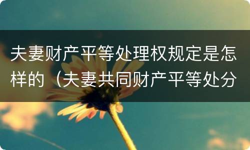 夫妻财产平等处理权规定是怎样的（夫妻共同财产平等处分权）