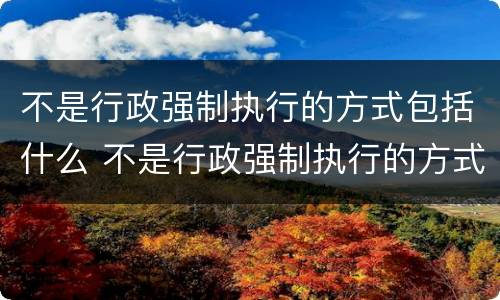 不是行政强制执行的方式包括什么 不是行政强制执行的方式包括什么内容