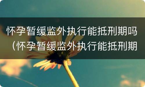 怀孕暂缓监外执行能抵刑期吗（怀孕暂缓监外执行能抵刑期吗怎么办）