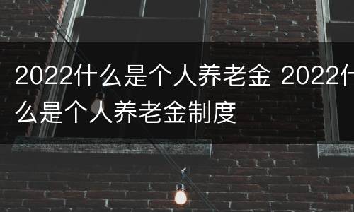 2022什么是个人养老金 2022什么是个人养老金制度