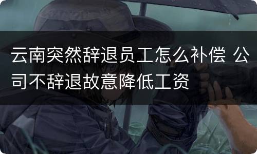 云南突然辞退员工怎么补偿 公司不辞退故意降低工资