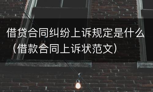 借贷合同纠纷上诉规定是什么（借款合同上诉状范文）