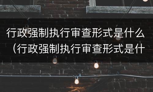 行政强制执行审查形式是什么（行政强制执行审查形式是什么意思）