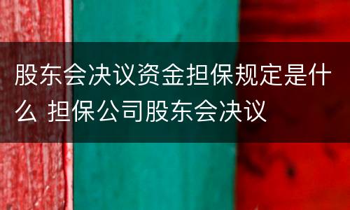 股东会决议资金担保规定是什么 担保公司股东会决议