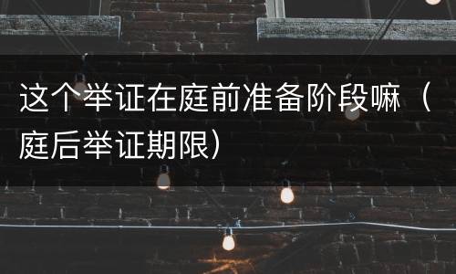 这个举证在庭前准备阶段嘛（庭后举证期限）