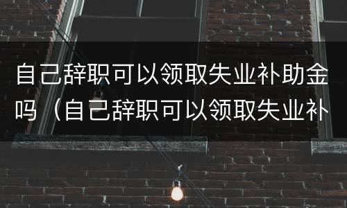 自己辞职可以领取失业补助金吗（自己辞职可以领取失业补助金吗现在）