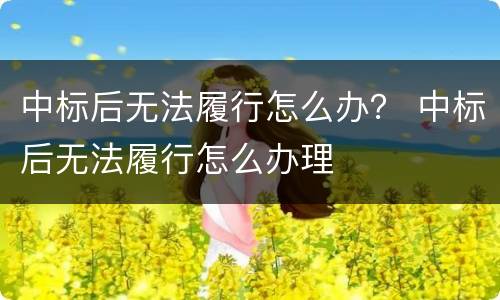 中标后无法履行怎么办? 中标后无法履行怎么办理